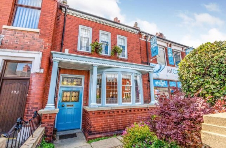 Wildcard Wednesday 💥