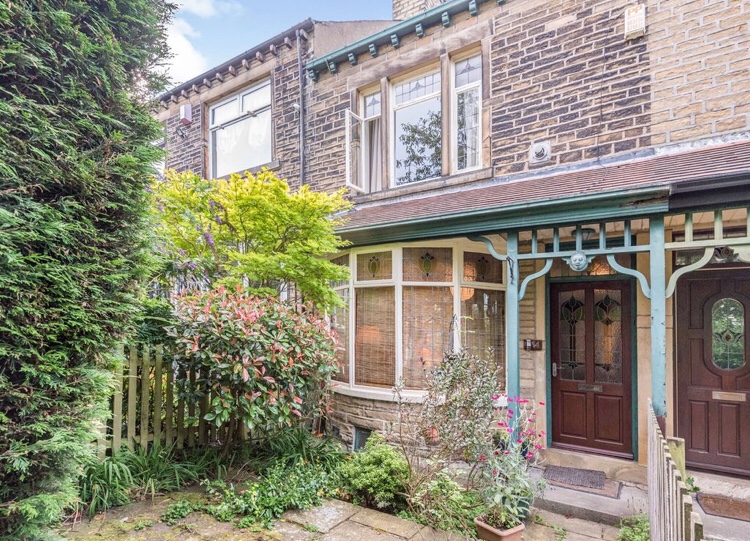 Bradford Beauty 🌱