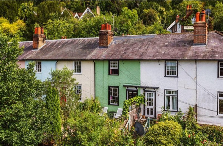 Gorgeous Green Terrace, with a view&nbsp;✨